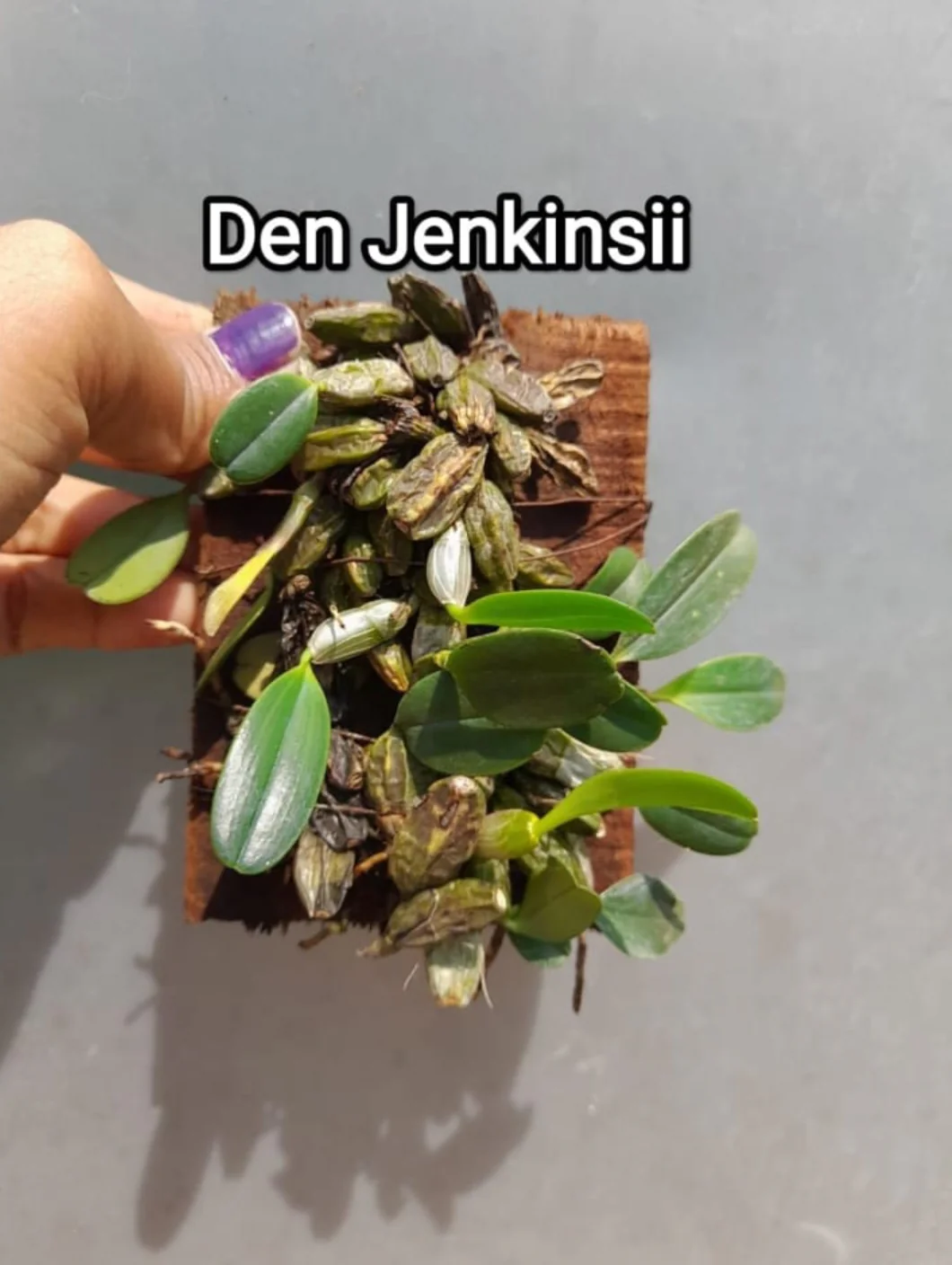 Thumb 2